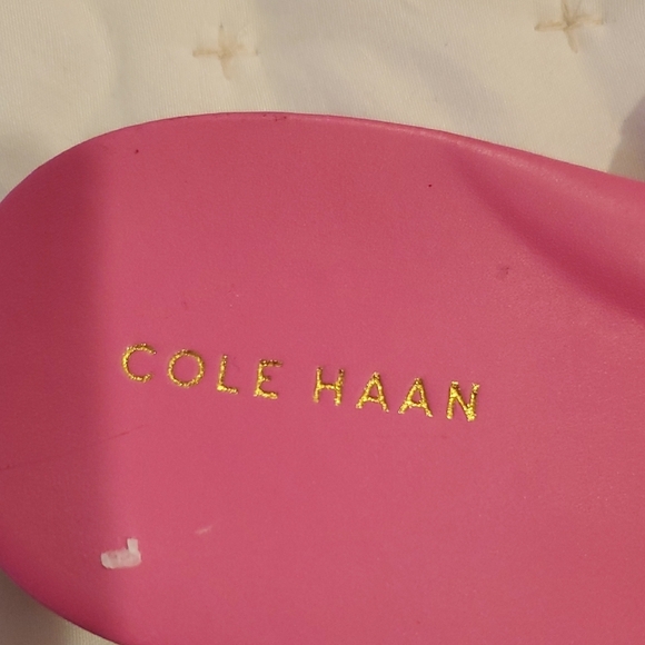 NWT Cole Haan Francine Demi Wedge Pink T-Strap Sandals/Adjustable Buckle (31) - Picture 2 of 10